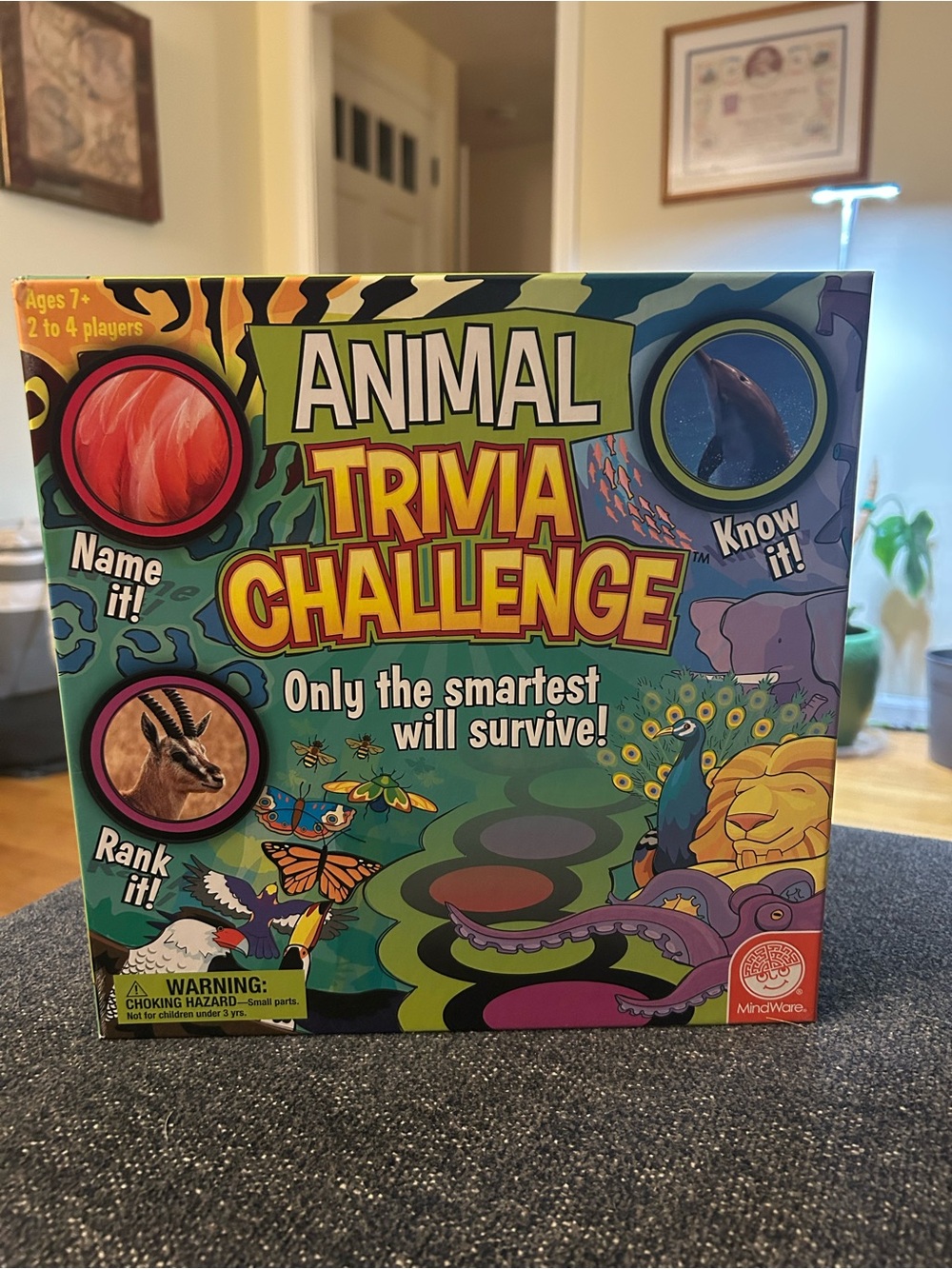 MindWare Animal Trivia Challenge Board Game - Colorful